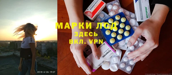 молекула духа Елабуга