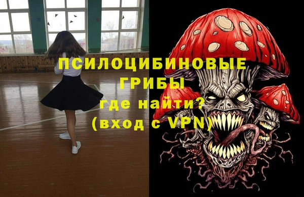 МДМА Ельня