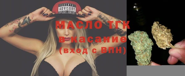 молекула духа Елабуга