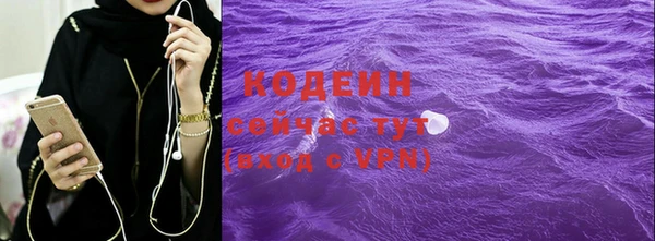 молекула духа Елабуга