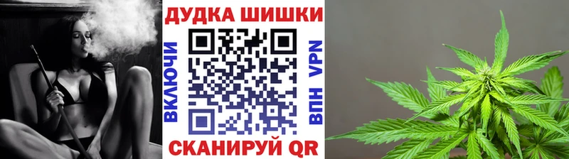 Конопля план  Купить  Вилючинск 